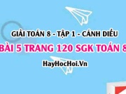 Giải bài 5 trang 120 Toán 8 Tập 1 SGK Cánh Diều